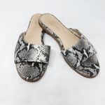 [Yosi Samra] Constantine Snake Python Print Slip On Slides Flat Sandals Size 9 M Black Photo 0