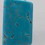 Turquoise and Butterfly Silver Tone Earrings Photo 1