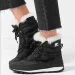 Sorel Whitney fur short lace up boots black size 7 Photo 0