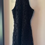 Lulus Black Lace Halter Dress Photo 1