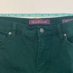 Gloria Vanderbilt Amanda Green Straight Leg High Rise Denim Jean EUC Sz 8 Photo 7