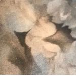 NWOT Valentino secrect garden dress Pink Size 4 Photo 3