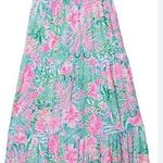 Lilly Pulitzer lily pulitzer maxi dress  Photo 1