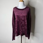 Free People  We The Free Burgundy Crushed Velvet Milan Top Photo 1