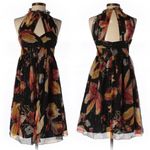 Anthropologie  Anna Sui Nagia Iris Black Silk Floral Metallic Halter Dress Size 0 Photo 1