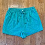 Ivy City Co. NWT Betty green eyelet short size XXL Photo 1