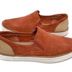 UGG  Adley Perf Slip-On Sneaker 7 Photo 4