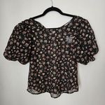 Stem & Vine Blouse Puffy Sleeves Sheer Floral Print Black Crewneck Casual Gold Size M Photo 0