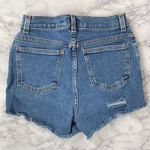 Style & Co Vintage Blue Custom Cutoff and Distressed Denim Jean Shorts 2P Photo 2