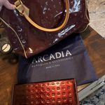 Arcadia Burgundy and Tan Satchel Set Brown Photo 1