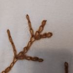 Cali Cali Ivory White Embroidered Floral Botanical 3/4 Sleeve Tee T Photo 4