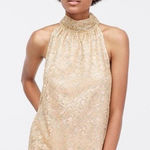 J.Crew NWT  Sleeveless Metallic Speckled Lace Halter Neck Blouse L Nude Silver Photo 0