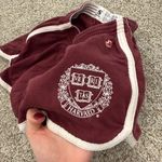Maroon Knit Harvard Shorts Red Photo 1