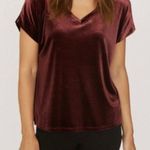 Anthropologie SANCTUARY Holy V-Neck Velvet Burgundy Blouse Photo 0