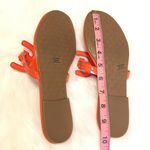 Sam Edelman | Carter Pat Thong Sandals (NWOT) Photo 8