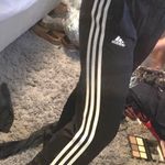 Adidas Jogger Pants Black Size M Photo 0