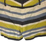 Ann Taylor Green and Blue Flat Front Shorts Photo 2