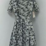 LuLaRoe  Womens Amelia Dress Size XS Black Gray Stretch Knit Office Casual Photo 0