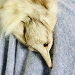 Rare Vintage Kamiran Gray Angora Button Up Sweater w/Full Taxidermy Fox Medium Blue Photo 4