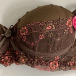 Massam Size Medium Brown Embroidered Padded Underwire Bra. Made in Brazil. New Photo 7