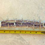 Beautiful Pearl & Amethyst Bracelet Purple Photo 3