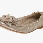 Jack Rogers Women's Tansy Flower gold flats  MOC sz 8.5. Photo 0