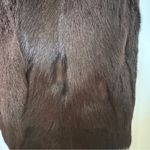 Prada  genuine fur coat  with detachable sleeves Y2K Photo 10