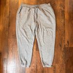 Terra & Sky  gray drawstring sweatpants, plus size 2X Photo 1