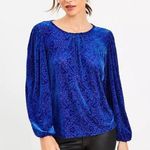 Talbots  Velvet Burnout Mosaic Long Sleeve Floral Blouse Royal Blue Size LARGE Photo 0