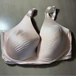 Adrienne Vittadini  LIGHT PINK  FULL‎ COVERAGE NO WIRE SIZE 38DD BRA Photo 9