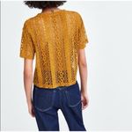 ZARA Trafaluc Lace Velvet Crop Top Mustard Gold Yellow Womens NWOT Photo 2