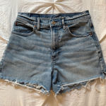 American Eagle  Highest Rise 90s Boyfriend Short Photo 0