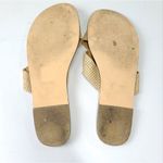 J.Crew  Women’s Flat Sandals Size 9 Photo 5