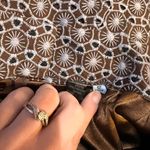 Antonio Melani FINAL PRICE NWT Olivia Pencil Skirt Photo 3