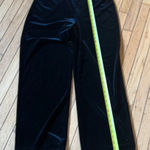 EXPRESS  🖤 velvet pants size L Photo 0