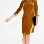 Boden Velvet Mustard Gold Adora Knee Length High Neck Dress US 12L $140 EUC Size 12 Photo 0