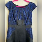 JAX Navy Black Sequin Lace Structured Cap Sleeve Knee Length Cocktail Dress 10 Blue Photo 3