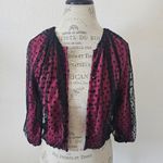 Tracy Reese Vintage  Fuscia Pink Black Sheer Lace Cropped Knit Sweater M Photo 1