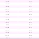 So Danca Jazz T Photo 8