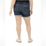 Silver Jeans  Co. Plus Size Elyse Mid Rise Comfort Fit Shorts 22W Photo 8