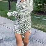 Kittenish Wild Thang Zebra Dress Photo 2