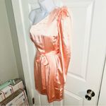 Red Dress Boutique Aaakaa Wish For More One Shoulder Ruffle Satin Dress Blush M Photo 5
