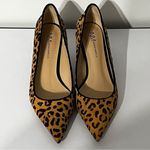 Neiman Marcus NM  Calf Hair Kitten Heel Pumps Photo 0