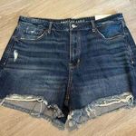 American Eagle Tomgirl Shorts Sz 16 Photo 0