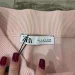 ZARA Skirt Photo 2
