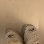 Uggs women creme tan low top canvas Taya sneakers US 7 Photo 6