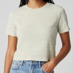 Sonoma  Y2K Cropped Green Yellow Striped Tee Shirt Womens XLarge Photo 1