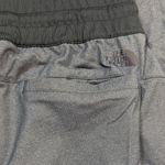 The North Face Dark Blue Joggers Photo 5