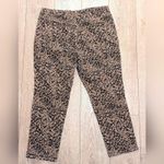 Terra & Sky 🆕 Womens Plus 16w 16 Petite Jeans Leopard Animal Print Straight Leg Ankle NWT Photo 3