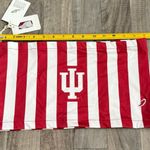 NCAA Indiana University IU Striped cropped tube top Photo 2
